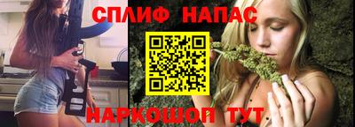 стаф Новозыбков