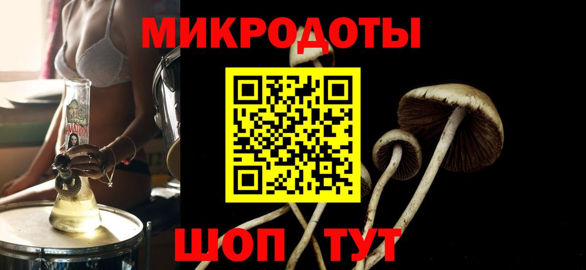 Галлюциногенные грибы мицелий Татарск